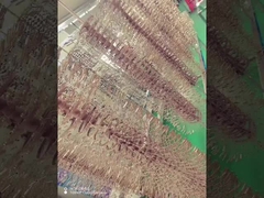 Μηχανή επικάλυψης πλαισίων γυαλιών από κράμα τιτανίου PVD