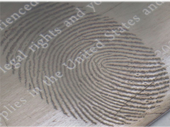 Σύστημα Μεταλλουργίας Υψηλού Κενού, Μονάδα Θερμικής Εξάτμισης Επιχρισμού για την απεικόνιση δακτυλικών αποτυπωμάτων